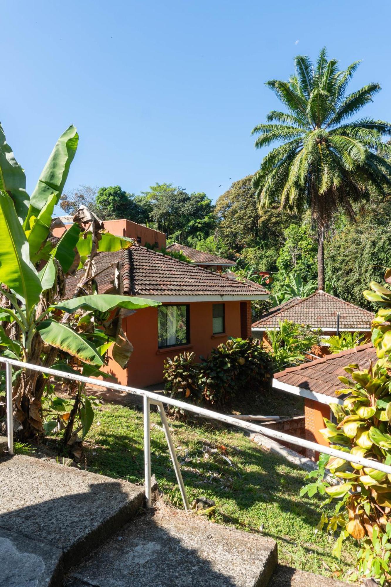 Bongo - Adults Only Manuel Antonio Exterior foto